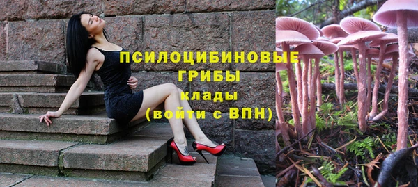 кристаллы Ельня